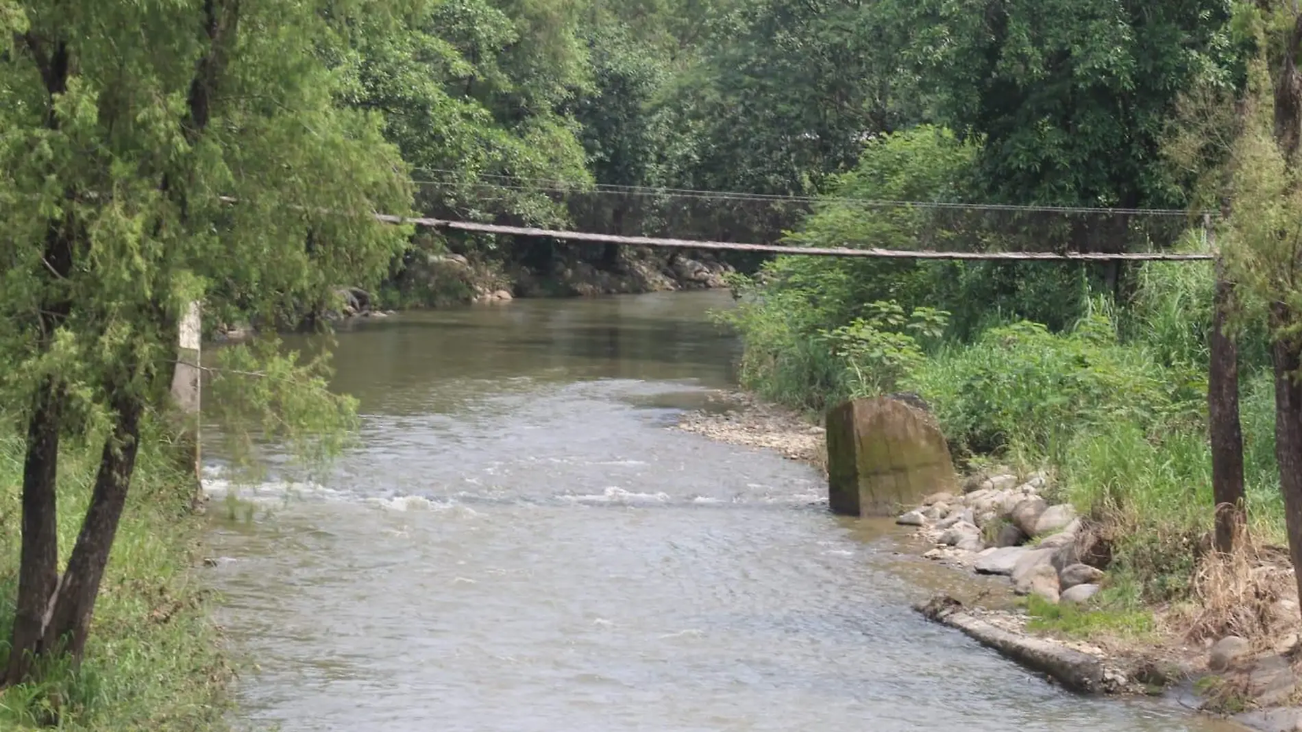 Puente de hamaca